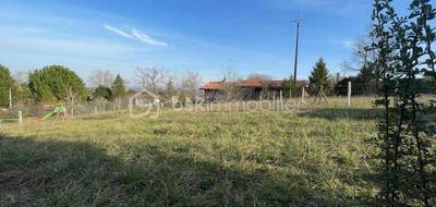 Terrain seul à Rabastens en Tarn (81) de 664 m² à vendre au prix de 60000€ - 4