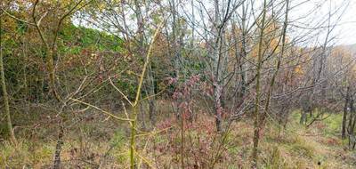 Terrain seul à Nailloux en Haute-Garonne (31) de 5457 m² à vendre au prix de 250000€ - 4