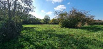 Terrain seul à Monfort en Gers (32) de 2000 m² à vendre au prix de 45000€ - 4