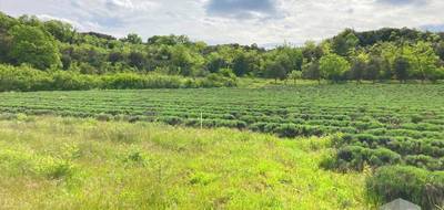 Terrain seul à Saint-Montan en Ardèche (07) de 3700 m² à vendre au prix de 142500€ - 3