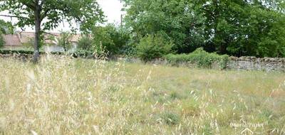 Terrain seul à Celles-sur-Belle en Deux-Sèvres (79) de 871 m² à vendre au prix de 23162€ - 2