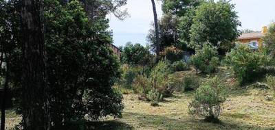 Terrain seul à Rocbaron en Var (83) de 1654 m² à vendre au prix de 212000€ - 3