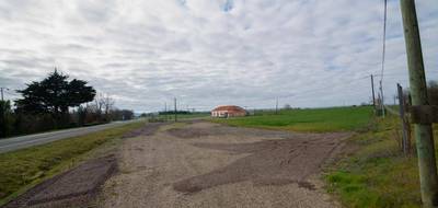 Terrain seul à Sempesserre en Gers (32) de 10000 m² à vendre au prix de 54000€ - 3