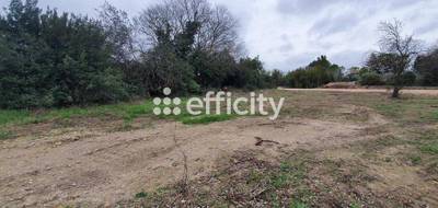 Terrain seul à Villevieille en Gard (30) de 1340 m² à vendre au prix de 229000€ - 3