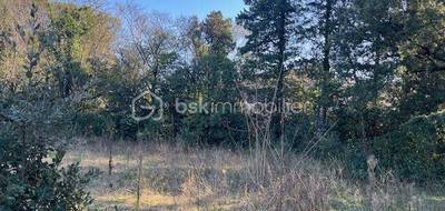 Terrain seul à Montpellier en Hérault (34) de 1038 m² à vendre au prix de 650000€ - 3