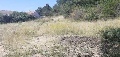Terrain seul à Couiza en Aude (11) de 2974 m² à vendre au prix de 80000€ - 4