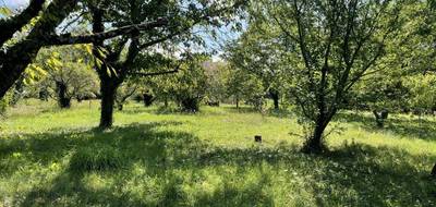 Terrain seul à Aigueperse en Puy-de-Dôme (63) de 1636 m² à vendre au prix de 89950€ - 4