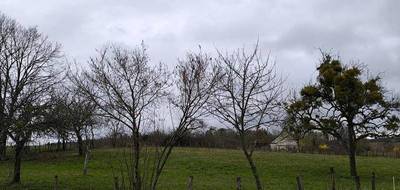 Terrain seul à Pierre-de-Bresse en Saône-et-Loire (71) de 3056 m² à vendre au prix de 37000€ - 3