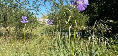 Terrain seul à La Flotte en Charente-Maritime (17) de 250 m² à vendre au prix de 399000€ - 1