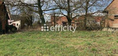 Terrain seul à Merkwiller-Pechelbronn en Bas-Rhin (67) de 2000 m² à vendre au prix de 155500€ - 1