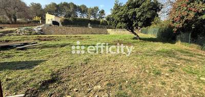 Terrain seul à Opio en Alpes-Maritimes (06) de 5450 m² à vendre au prix de 419000€ - 2