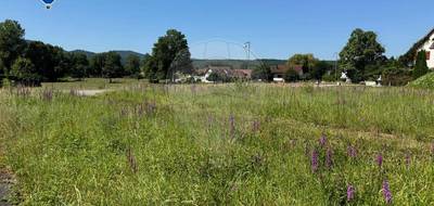 Terrain seul à Werentzhouse en Haut-Rhin (68) de 923 m² à vendre au prix de 97000€ - 1