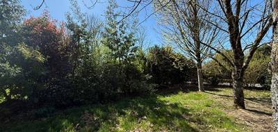 Terrain seul à Meucon en Morbihan (56) de 697 m² à vendre au prix de 230000€ - 2