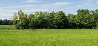 Terrain seul à Machault en Ardennes (08) de 963 m² à vendre au prix de 53000€ - 1