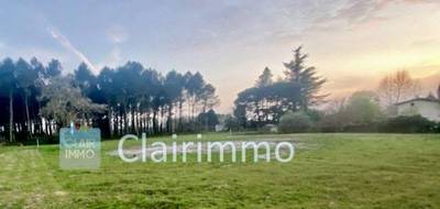Terrain seul à Villandraut en Gironde (33) de 1600 m² à vendre au prix de 83000€ - 1