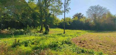 Terrain seul à Pompignac en Gironde (33) de 1400 m² à vendre au prix de 210000€ - 4