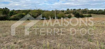 Terrain seul à Revel en Haute-Garonne (31) de 794 m² à vendre au prix de 71500€ - 2