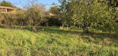 Terrain seul à Belpech en Aude (11) de 3174 m² à vendre au prix de 49990€ - 4