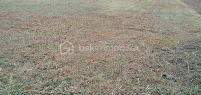 Terrain seul à Douchy-Montcorbon en Loiret (45) de 2770 m² à vendre au prix de 33000€ - 2