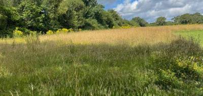 Terrain seul à Saint-Lyphard en Loire-Atlantique (44) de 4714 m² à vendre au prix de 210059€ - 2