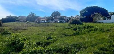 Terrain seul à Saint-Denis-d'Oléron en Charente-Maritime (17) de 4280 m² à vendre au prix de 828800€ - 1