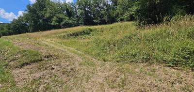 Terrain seul à Belcastel en Aveyron (12) de 4450 m² à vendre au prix de 39500€ - 3