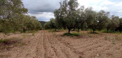 Terrain seul à Gabian en Hérault (34) de 8000 m² à vendre au prix de 29000€ - 3
