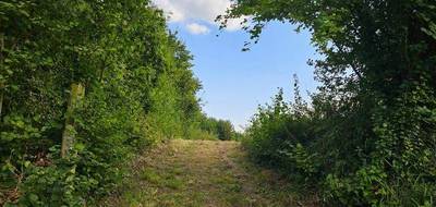 Terrain seul à Vauxaillon en Aisne (02) de 2568 m² à vendre au prix de 55000€ - 2