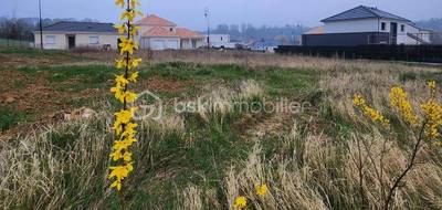 Terrain seul à Montigny-sur-Vesle en Marne (51) de 959 m² à vendre au prix de 99000€ - 1