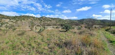 Terrain seul à Estagel en Pyrénées-Orientales (66) de 4760 m² à vendre au prix de 7500€ - 3