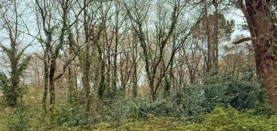 Terrain seul à Grayan-et-l'Hôpital en Gironde (33) de 7905 m² à vendre au prix de 149990€ - 2