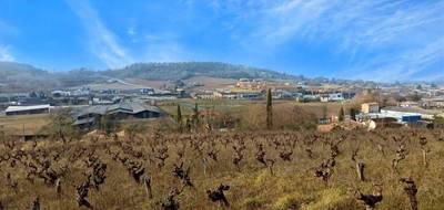 Terrain seul à Albi en Tarn (81) de 8000 m² à vendre au prix de 150000€ - 3