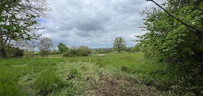Terrain seul à Thiviers en Dordogne (24) de 9918 m² à vendre au prix de 39000€ - 1