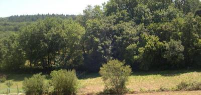 Terrain seul à Maubourguet en Hautes-Pyrénées (65) de 7503 m² à vendre au prix de 39000€ - 1