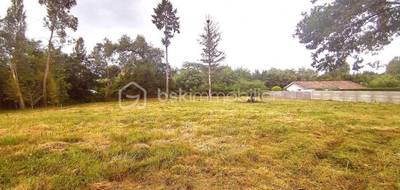 Terrain seul à Cazères-sur-l'Adour en Landes (40) de 1564 m² à vendre au prix de 38500€ - 3