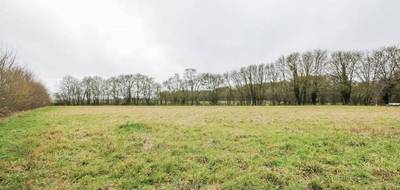 Terrain seul à Chailloué en Orne (61) de 2000 m² à vendre au prix de 43000€ - 2