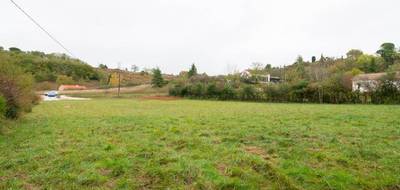 Terrain seul à Castres en Tarn (81) de 1711 m² à vendre au prix de 84000€ - 3