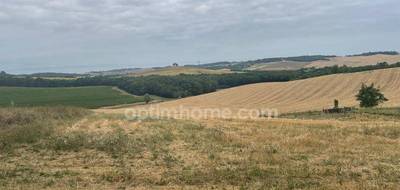 Terrain seul à Lévignac en Haute-Garonne (31) de 2500 m² à vendre au prix de 137000€ - 3