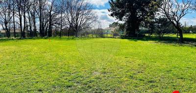 Terrain seul à Arvert en Charente-Maritime (17) de 460 m² à vendre au prix de 117400€ - 4