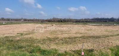 Terrain seul à Saint-Christoly-de-Blaye en Gironde (33) de 1300 m² à vendre au prix de 65000€ - 4