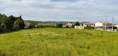 Terrain seul à Ille-sur-Têt en Pyrénées-Orientales (66) de 531 m² à vendre au prix de 115000€ - 2