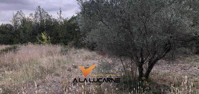 Terrain seul à Bize-Minervois en Aude (11) de 1205 m² à vendre au prix de 141000€ - 3