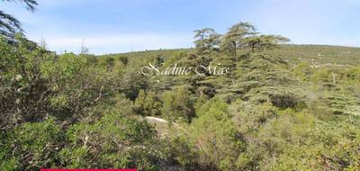Terrain seul à Plan-d'Aups-Sainte-Baume en Var (83) de 1650 m² à vendre au prix de 189000€ - 3