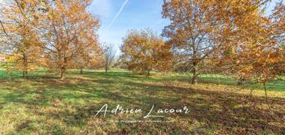Terrain seul à Romorantin-Lanthenay en Loir-et-Cher (41) de 4077 m² à vendre au prix de 54990€ - 4