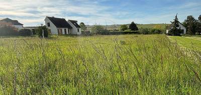 Terrain seul à Coulanges-la-Vineuse en Yonne (89) de 1547 m² à vendre au prix de 77350€ - 3