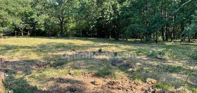 Terrain seul à Montaigut-sur-Save en Haute-Garonne (31) de 901 m² à vendre au prix de 169000€ - 4