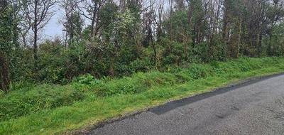 Terrain seul à Crozon en Finistère (29) de 498 m² à vendre au prix de 4494€ - 2