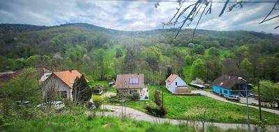 Terrain seul à Linthal en Haut-Rhin (68) de 1050 m² à vendre au prix de 80000€ - 3