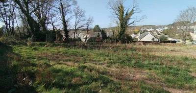 Terrain seul à Baden en Morbihan (56) de 348 m² à vendre au prix de 275000€ - 3