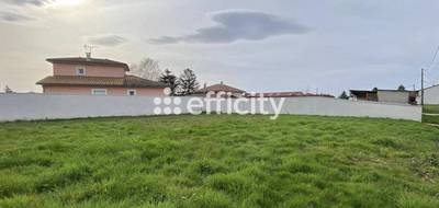 Terrain seul à Pizay en Ain (01) de 425 m² à vendre au prix de 129000€ - 1